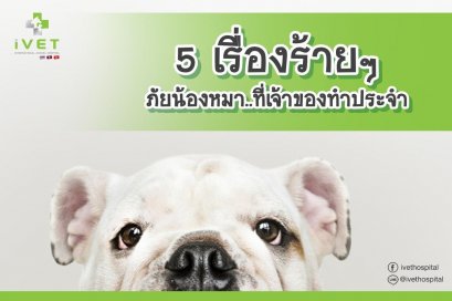 5 เรื่องร้ายๆ ภัยน้องหมา..ที่เจ้าของทำประจำ